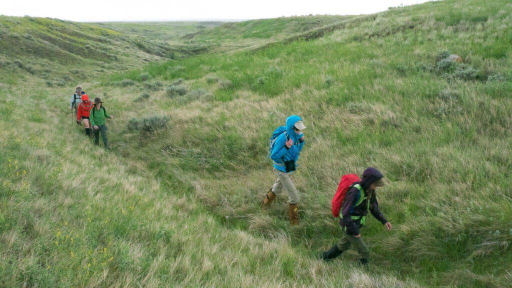 Land Snorkeling Is the New Trend That's Taking Hikers Deeper