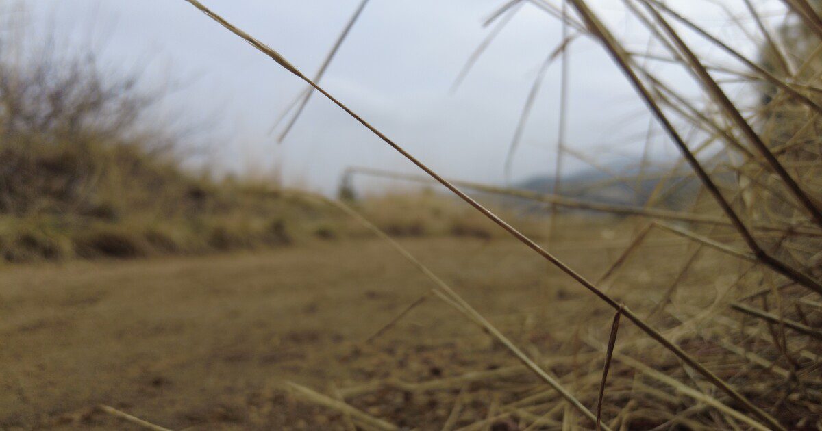 hiking trails feature 2