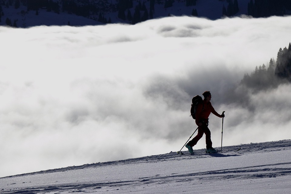 trekking poles
