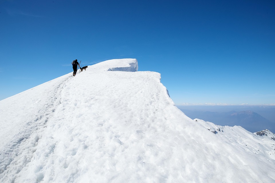 trekking poles