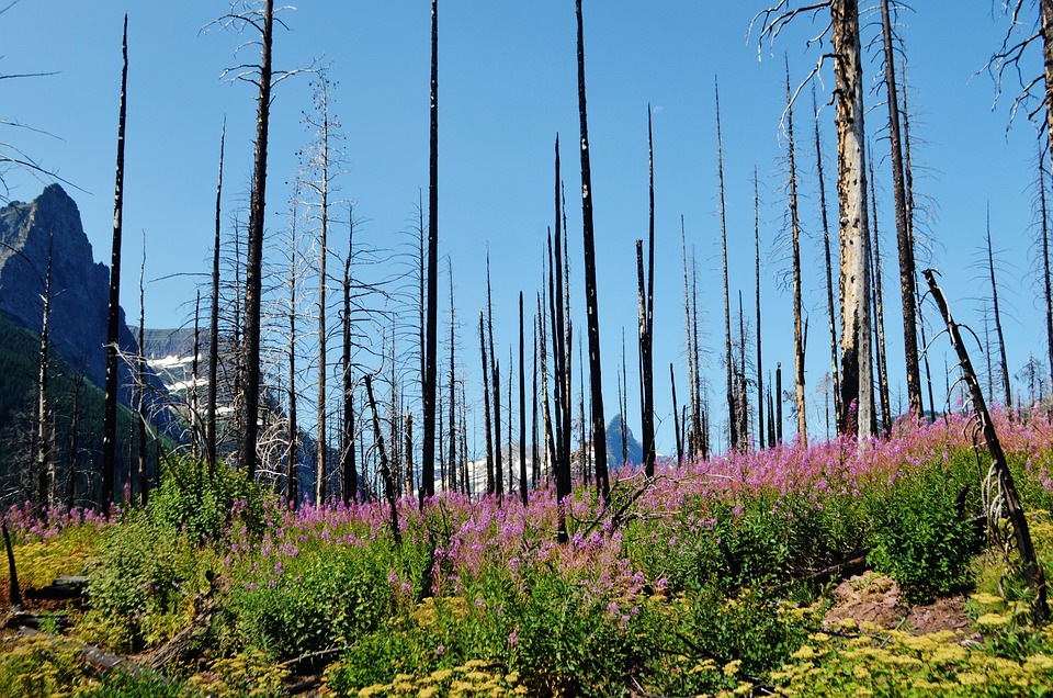 hiking Montana