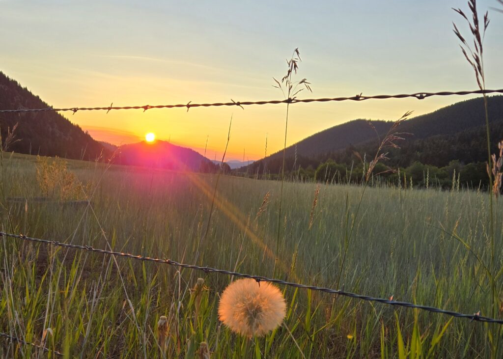 Alternates and Altruism on the CDT in Montana - The Trek