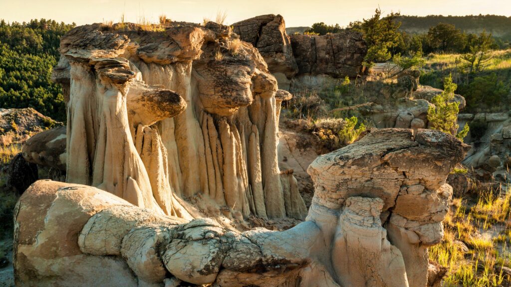 Unearth The Secrets Of Montana's Hidden Gem: A Prehistoric Paradise Aw...