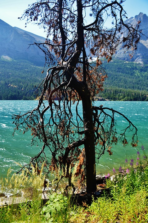 hiking Montana