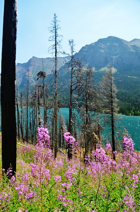 hiking Montana