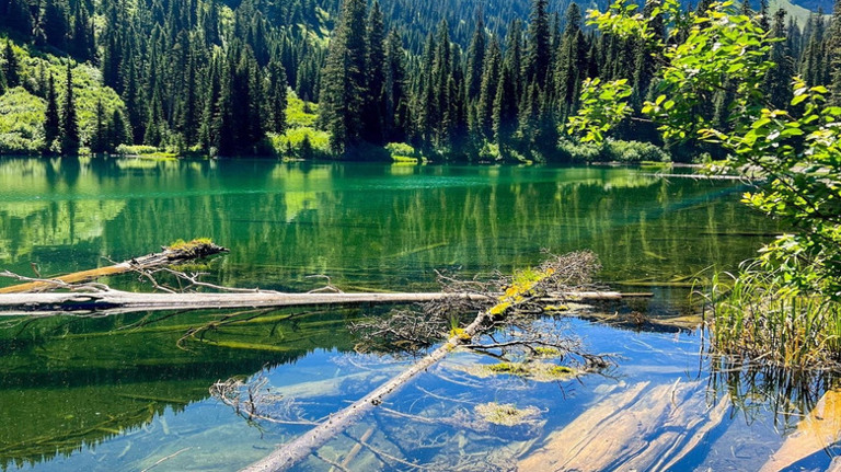 Hidden In Montana's Pristine Forests Is A Quaint Lake With Hiking Trai...