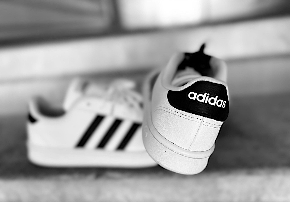 Adidas Terrex Skychaser LT GTX Shoes