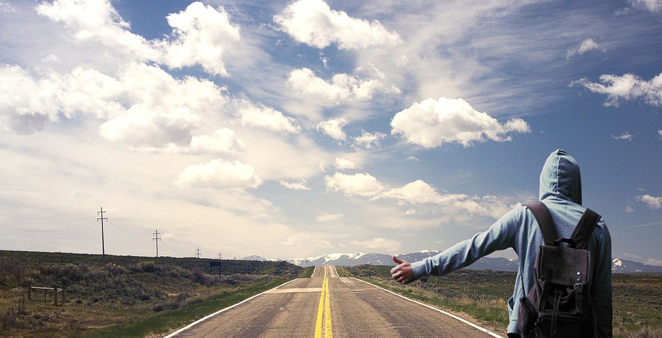 Lowa Camino Evo GTX Hiking Boots