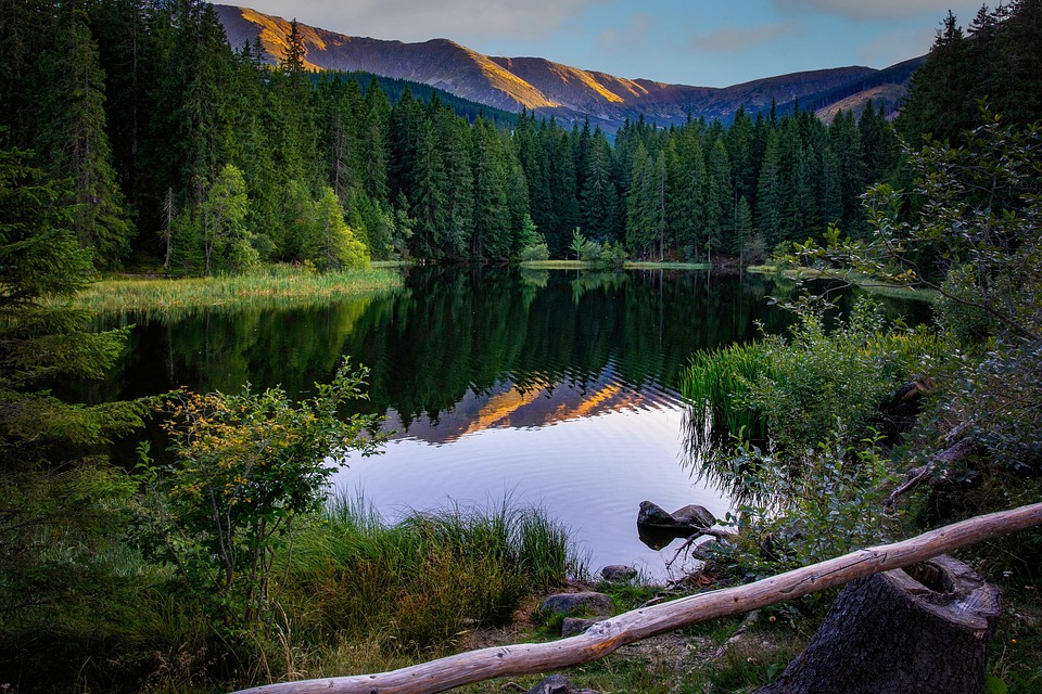 Oboz Bridger Low B-Dry Hiking Shoes