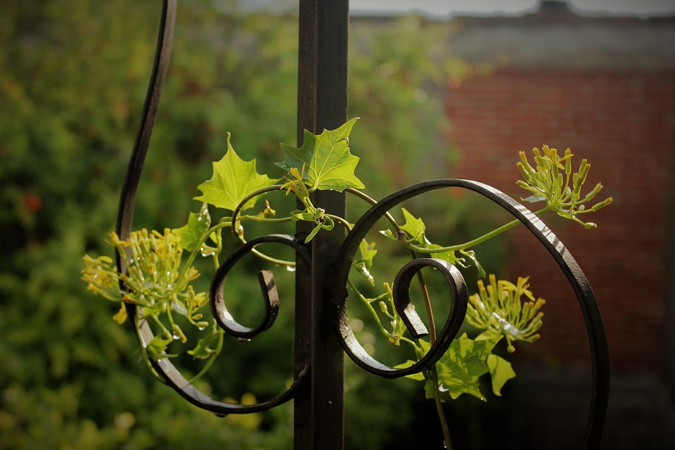 Mammut Kento Guide High GTX Hiking Boots